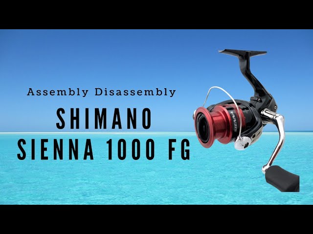 SHIMANO Sienna 2019 1000 Bearing Upgrade 