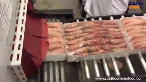 Argentina red shrimp - L1 shrink wrapping machine part 2