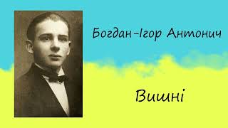 Богдан Ігор Антонич «Вишні» | Вірш | Слухати онлайн