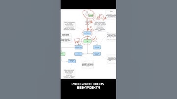 Универсальная схема веб-проекта🔥