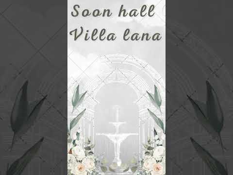 دمياط تفتيش كفر سعد نادي القوات المسلحة في فيلانا قاعة الافراح