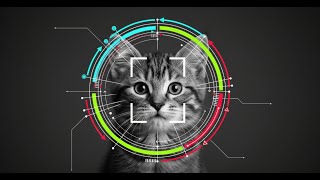ChatGPT Prompt Engineering in 60 Seconds