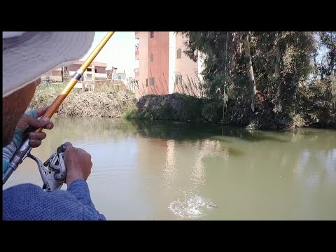 أهم أصول صيد السمك عاوز تبق صياد محترم اجتهد و اعمل كدا حكاياتصيادينمصر