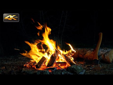 Night Campfire near