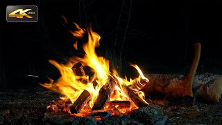 Night Campfire near the Forest🌲Authentic Sounds & Dark Ambience