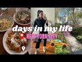 WEEKEND VLOG IN NEW YORK CITY: out to dinner, mango salsa recipe, UTI remedies