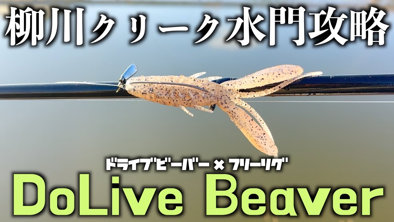 ドライブビーバーのフリーリグがマジ釣れる！冬の柳川クリーク水門攻略！