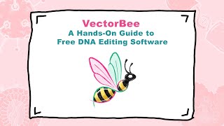VectorBee: A Hands-On Guide to Free DNA Editing Software screenshot 3