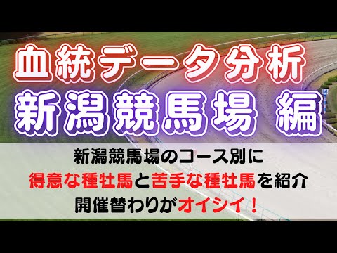 血統データ分析・新潟競馬場 編　ー距離別・コース別に得意種牡馬・苦手種牡馬をピックアップ