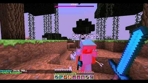Wither fight on 9tx.org w/ zakistheman, SofaKing55 and AaskullcrusheraA.