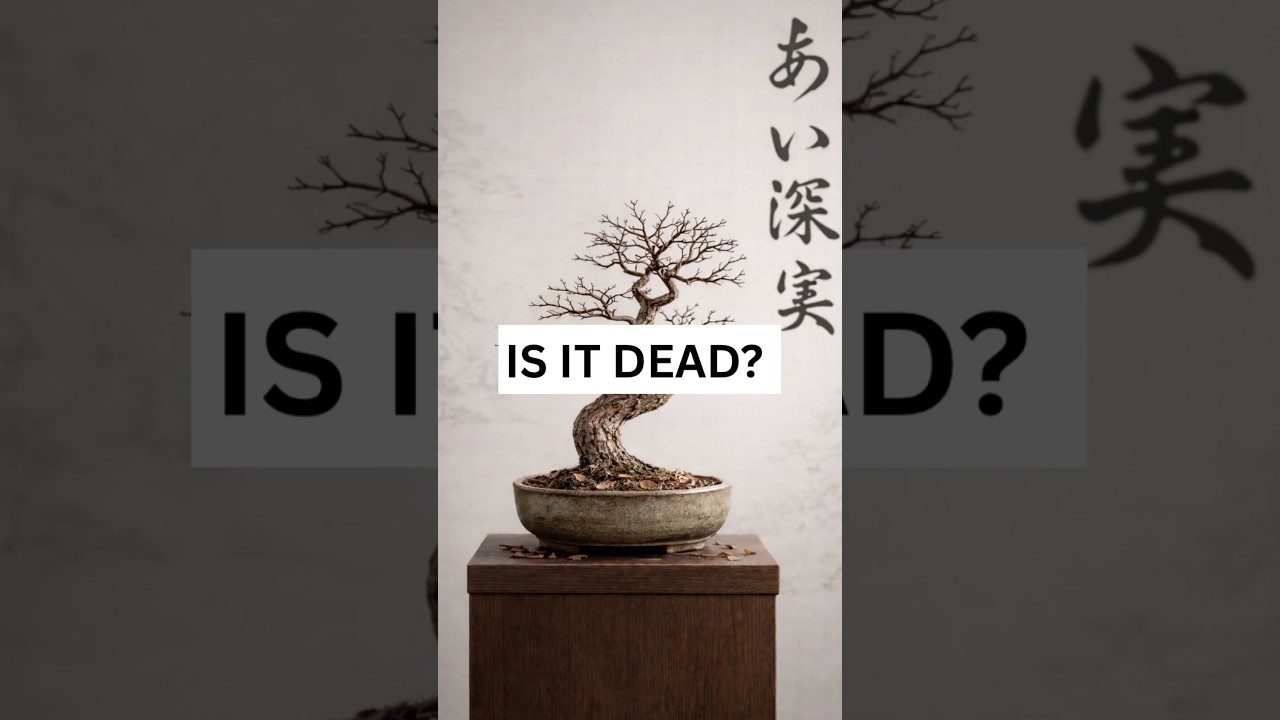 Losing Leaves? This Is What Your Bonsai Is Telling You 🌿 #bonsaiforbeginners