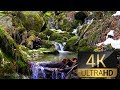 2 Hours 4K Relaxing Nature Video & River Sounds - 100% Natural