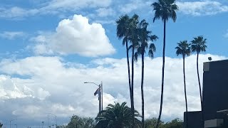 Autistic Senior woman homeless in Metro Phoenix by Niecy Catz 61 views 1 month ago 1 minute, 17 seconds