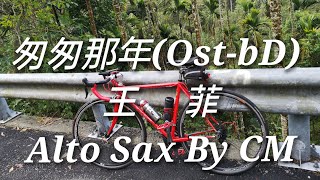 Video thumbnail of "匆匆那年-王菲Ost-bD Alto Sax By CM 界民薩克斯風"