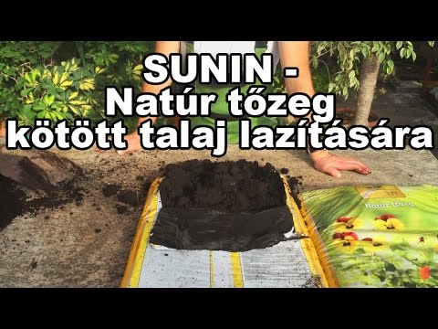 Videó: Tőzeg Tabletta