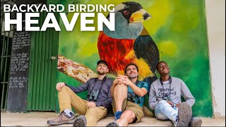 The Best Backyard Birding on Earth | Valle del Cauca, Colombia | Field Guides