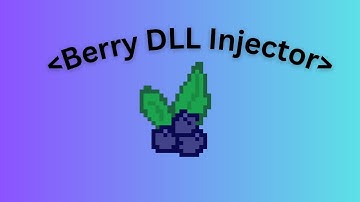 Berry DLL Injector [PAID, NOT DONE]