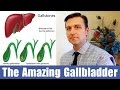 The Amazing Gallbladder