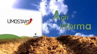 Agri Informa Grano e Concime