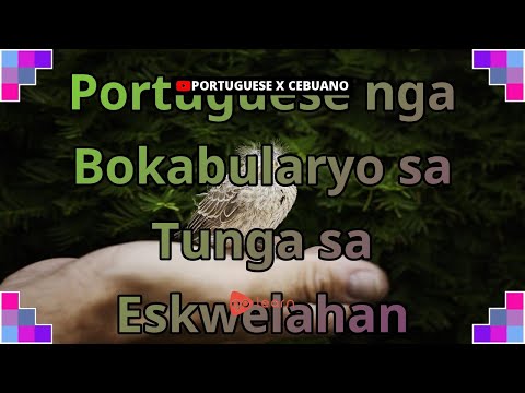 Video: Si Ingeborga Dapkunaite ay nagpunta sa negosyo sa paglalaro