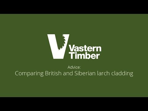 Video: Siberian Larch