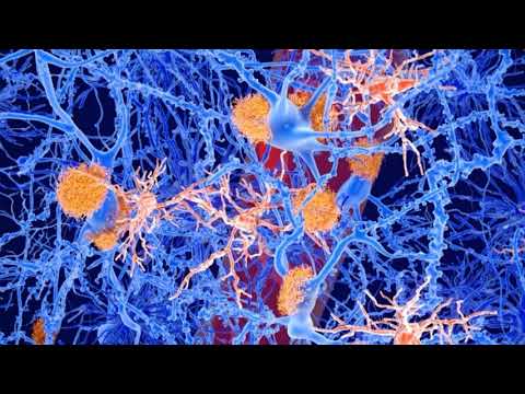 Нова сполука показує багатообіцяючі результати в усуненні симптомів хвороби Альцгеймера у щурів