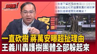 【超政點！】台北市一直砍樹 蔣萬安理由超扯？王義川爆氣怒轟「護樹團體態度呢」：全部躲起來！蔣市府處理問題唯一方式 就是「詭辯」！｜三立新聞LIVE