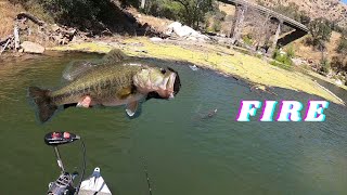 Pine Flat Lake Topwater Bass Fishing!!!!! (Epic bites!!!)