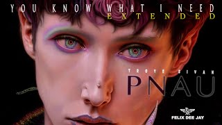 Video thumbnail of "PNAU, Troye Sivan - You Know What I Need (Extended ReTouch by Felix) ⭐️Free Download"