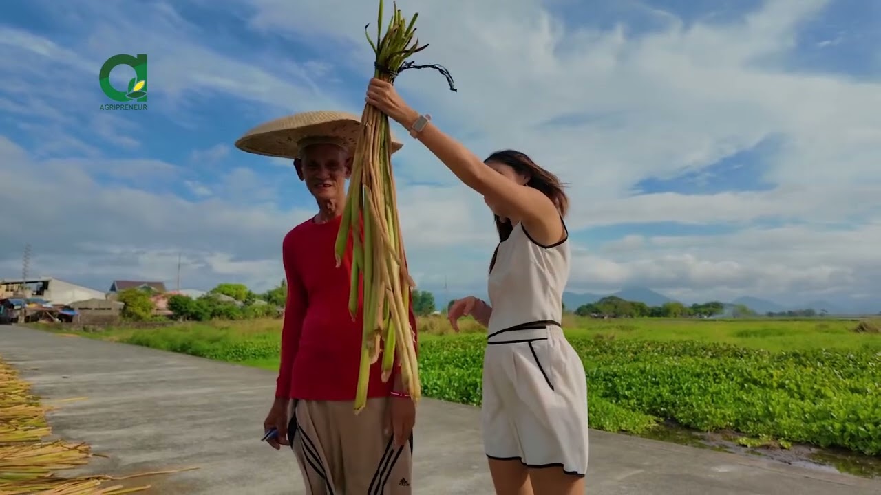 Water Hyacinth Reimagined: The Jacinto & Lirio Story on Agripreneur