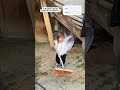 Özlem Lina Öz - Yeni Video ❤️