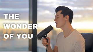 Elvis Presley  The Wonder Of You (Cover by Elliot James Reay)