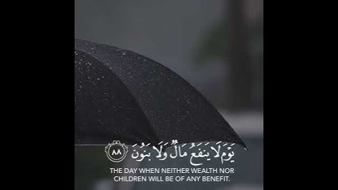 تلاوه خاشعه | بصوت القارئ خالد الجليل | حالات واتس اب دينيه♥♥.