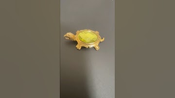 tortoise and turtle @virgoperidot4353