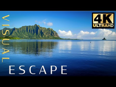 😴🌊  Calming Ocean – 7 Hours Ocean Waves Nature Sounds Relaxation Meditation Sleep – Hawaii