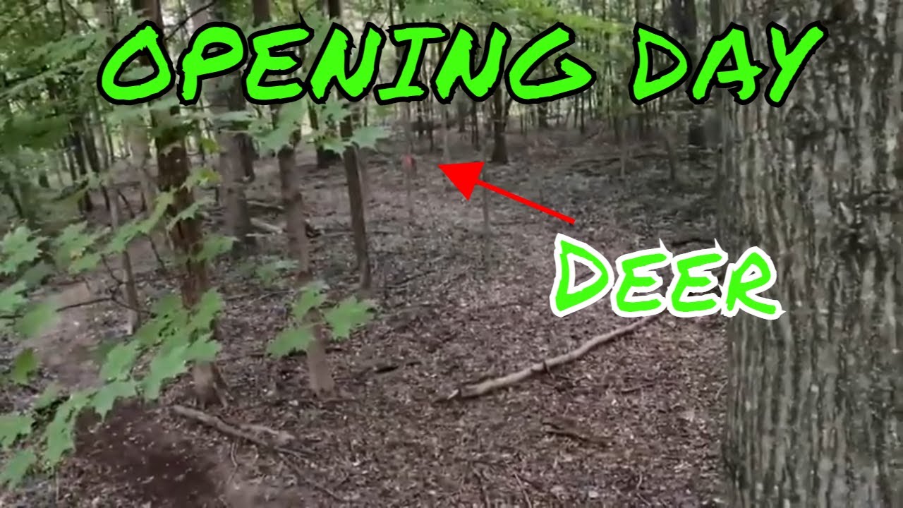 OPENING DAY DEER HUNT!!! (OHIO 2021) - YouTube