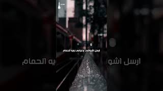 سيف عامر حالات واتساب _ شلون انام