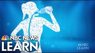 Get Healthy: Hydration | NBC News Learn