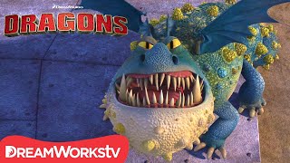 How to Tame Rock Eating Boulder Dragons | HOW TO TRAIN YOUR DRAGON