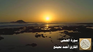 أحمد نعينع - سورة الضحى - مقطع مميز