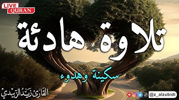 تلاوة هادئة لسورة يس بصوت القارئ زيد الزبيدي