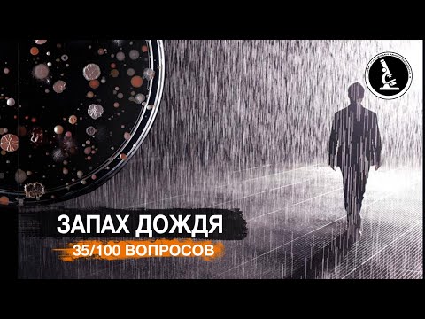 ПОЧЕМУ ПОСЛЕ ДОЖДЯ ПОЯВЛЯЕТСЯ ЗАПАХ?