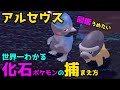 アルセウス 世界一わかるズガイドス タテトプスの捕まえ方 解説 アルセウス 世界一わかるズガイドス タテトプスの捕まえ方 解説