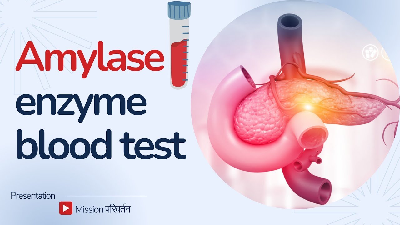 Natural ways to maintain a healthy Amylase enzyme in body | Amylase ...