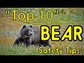 "Top 10" BEAR Safety Tips (or HOW TO AVOID BEING EATEN ALIVE!)