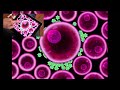 björk: biophilia: virus app tutorial