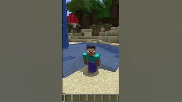 3 WEIRD THINGS ABOUT MINECRAFT LOGIC (PART-2) | #SHORT | #MINECRAFT