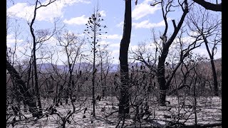 ‘Grateful beyond words’ Captain’s praise after tough fire season