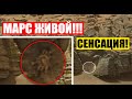 НАУЧНАЯ СЕНСАЦИЯ ВЕКА! КАМЕРА МАРСОХОДА ЗАПЕЧАТЛИЛА ЖИВОЕ СУЩЕСТВО! 12.10.2020 ДОКУМЕНТАЛЬНЫЙ ФИЛЬМ