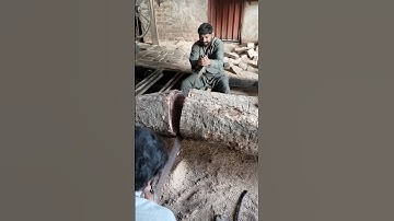 BIG WOOD CUTTING/SAW MILL WOOD CUTTING PROCESS|Cutting lumber into slat | Amazing Cutting Skills